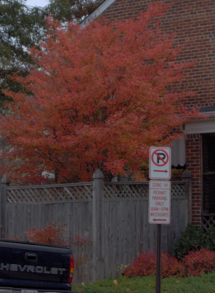 About Ashton Heights Ashton Heights Civic Association